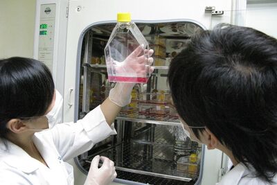 細胞應用研究室 Applied Cell Culture Lab圖片