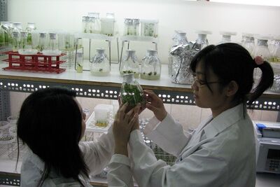 農業生技研究室 Agricultural Biotechnology Lab圖片